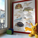 Whimsical Reptiles With Glasses