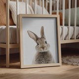 Peekaboo Bunny