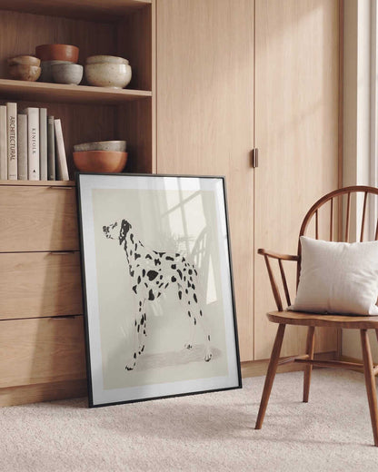 Pandc Dalmation