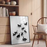 Graceful Black Swans