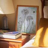 Allium