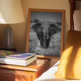 Majestic African Elephant