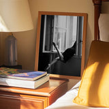Graceful Legs Open Window