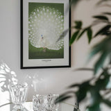Peacock - Cropped