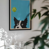 Border Collie Tennis Ball