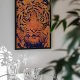 Intense Tiger Gaze