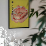 Japanese Summer Peony