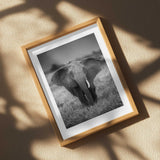 Majestic African Elephant