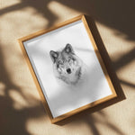 Image de diapositive