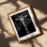 Elegant Giraffe Portrait