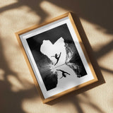 Dancer In Cave Reflection