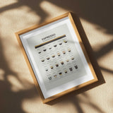 Espresso Coffee Guide
