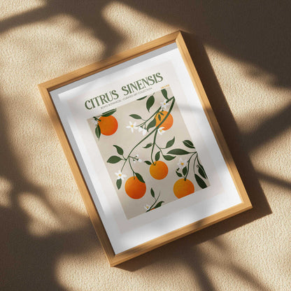 Orange Elegance