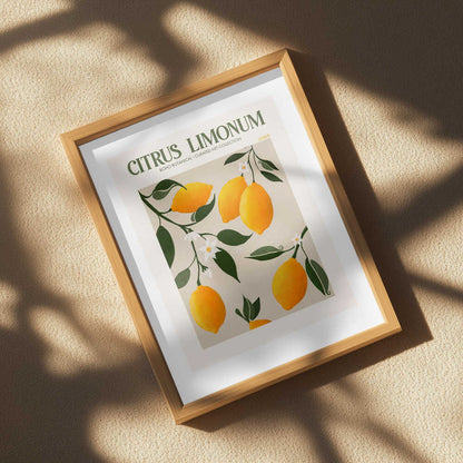 Golden Citrus Delight