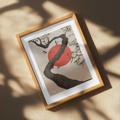 Autumn Flight Red Sun