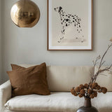 Pandc Dalmation