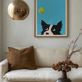 Border Collie Tennis Ball
