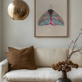 Colorful Ornate Moth