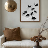 Graceful Black Swans