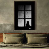 Black Cat Window View