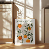 Orange Elegance