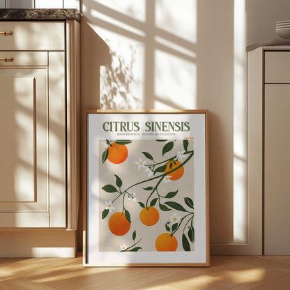 Orange Elegance