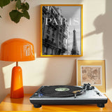 Classic Paris Architecture