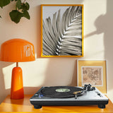 Palm Leaves 22