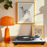 Pandc Dalmation
