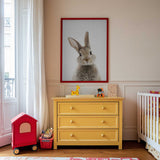 Peekaboo Bunny