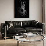 Striking Zebra Portrait