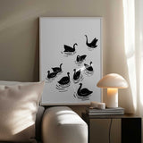 Graceful Black Swans