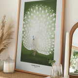 Peacock - Cropped
