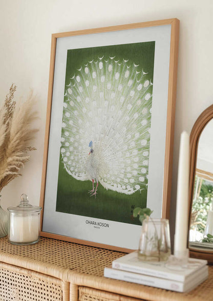 Peacock - Cropped