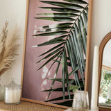 Palm Leaves 23