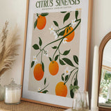 Orange Elegance