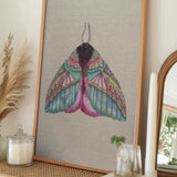 Colorful Ornate Moth