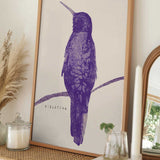 Elegant Violet Hummingbird