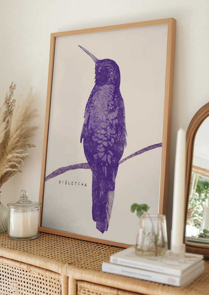 Elegant Violet Hummingbird