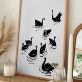 Graceful Black Swans
