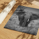 Majestic African Elephant