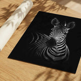 Striking Zebra Portrait