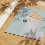 Cockatoo
