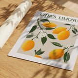 Golden Citrus Delight