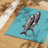 Vintage Fish Duo