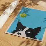 Border Collie Tennis Ball