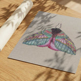 Colorful Ornate Moth