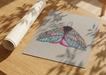 Colorful Ornate Moth