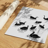 Graceful Black Swans